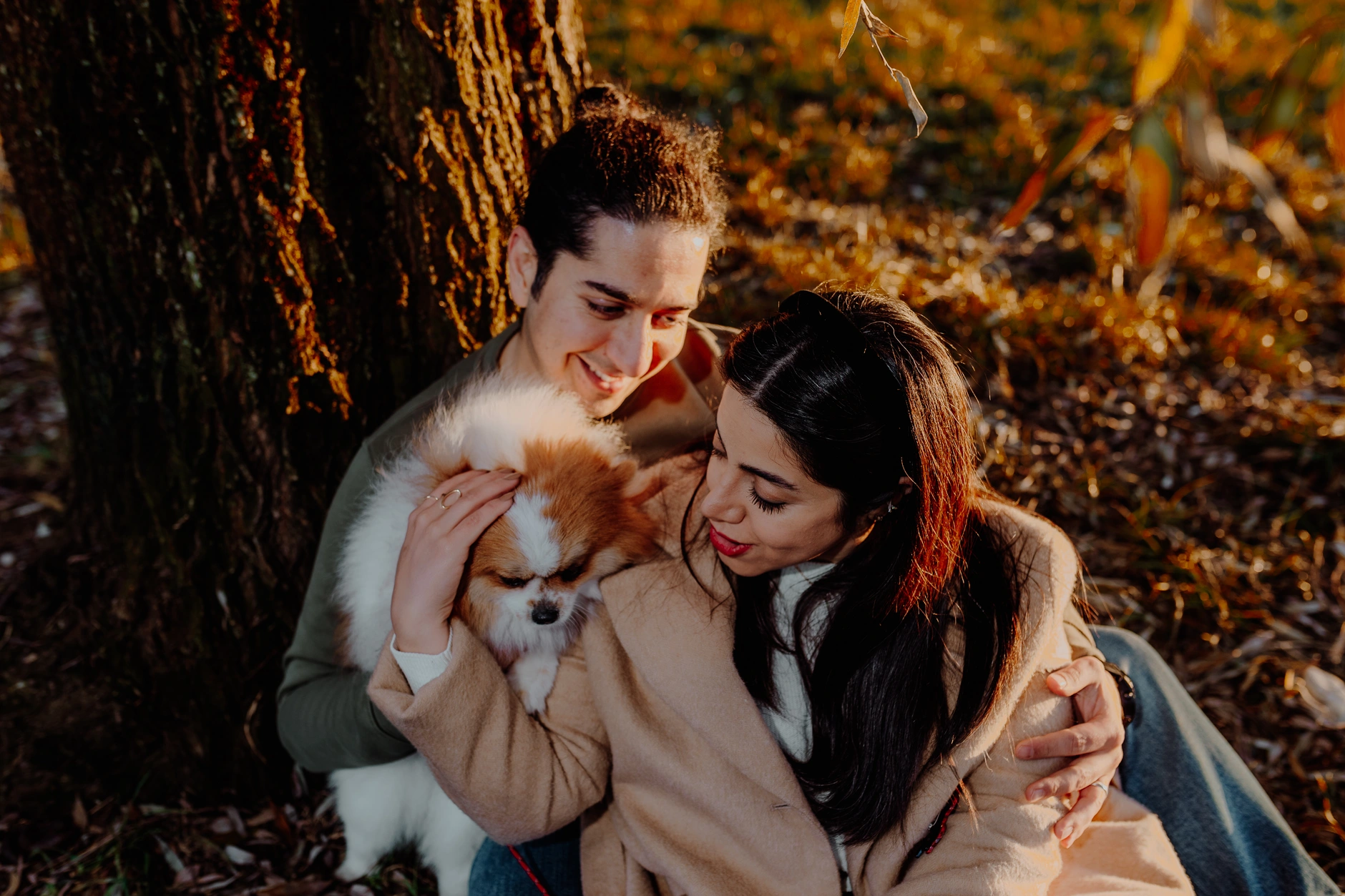 Tender embrace near a tree in backlight