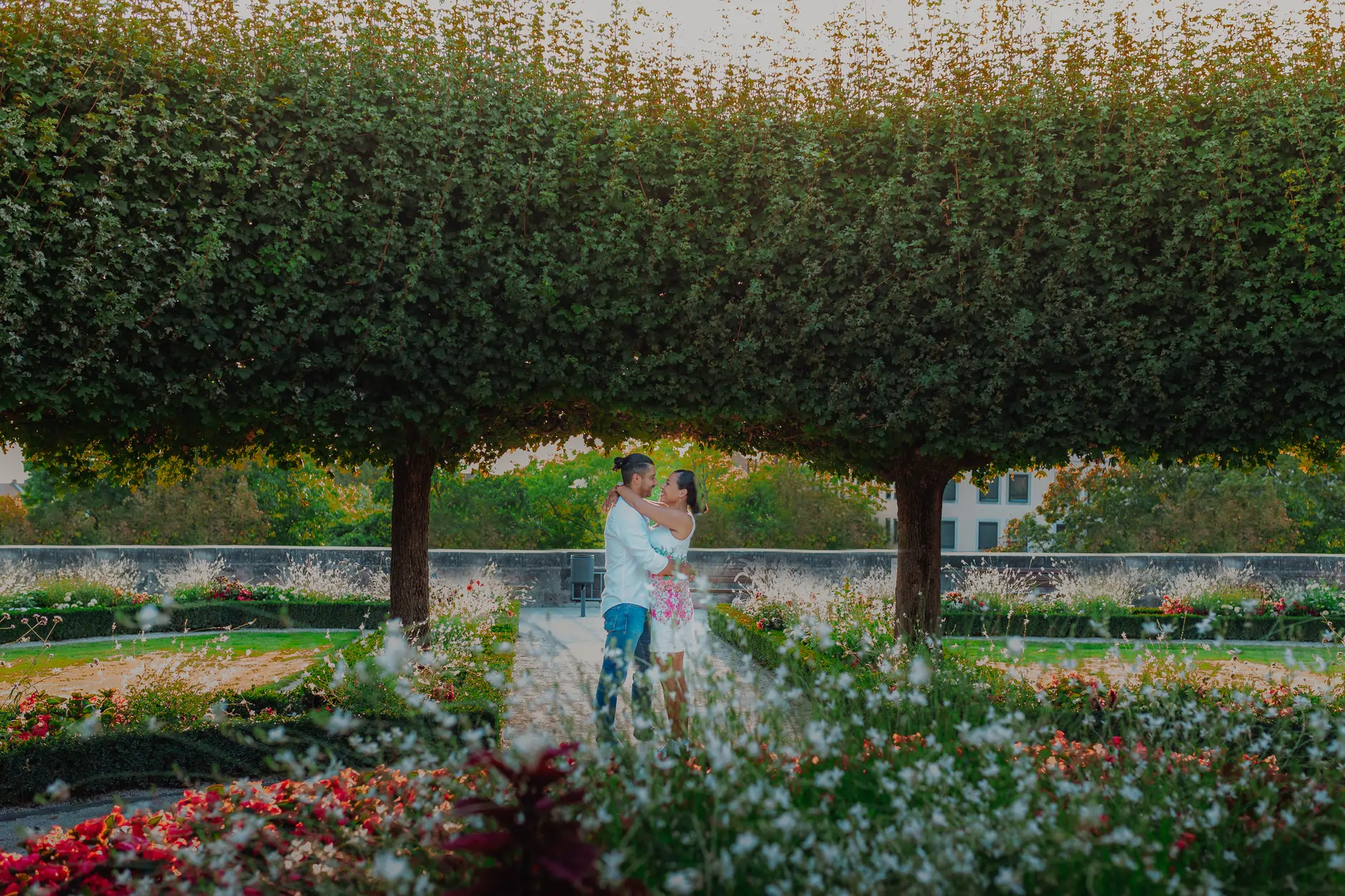 Couple among flower beds under trimmed trees
