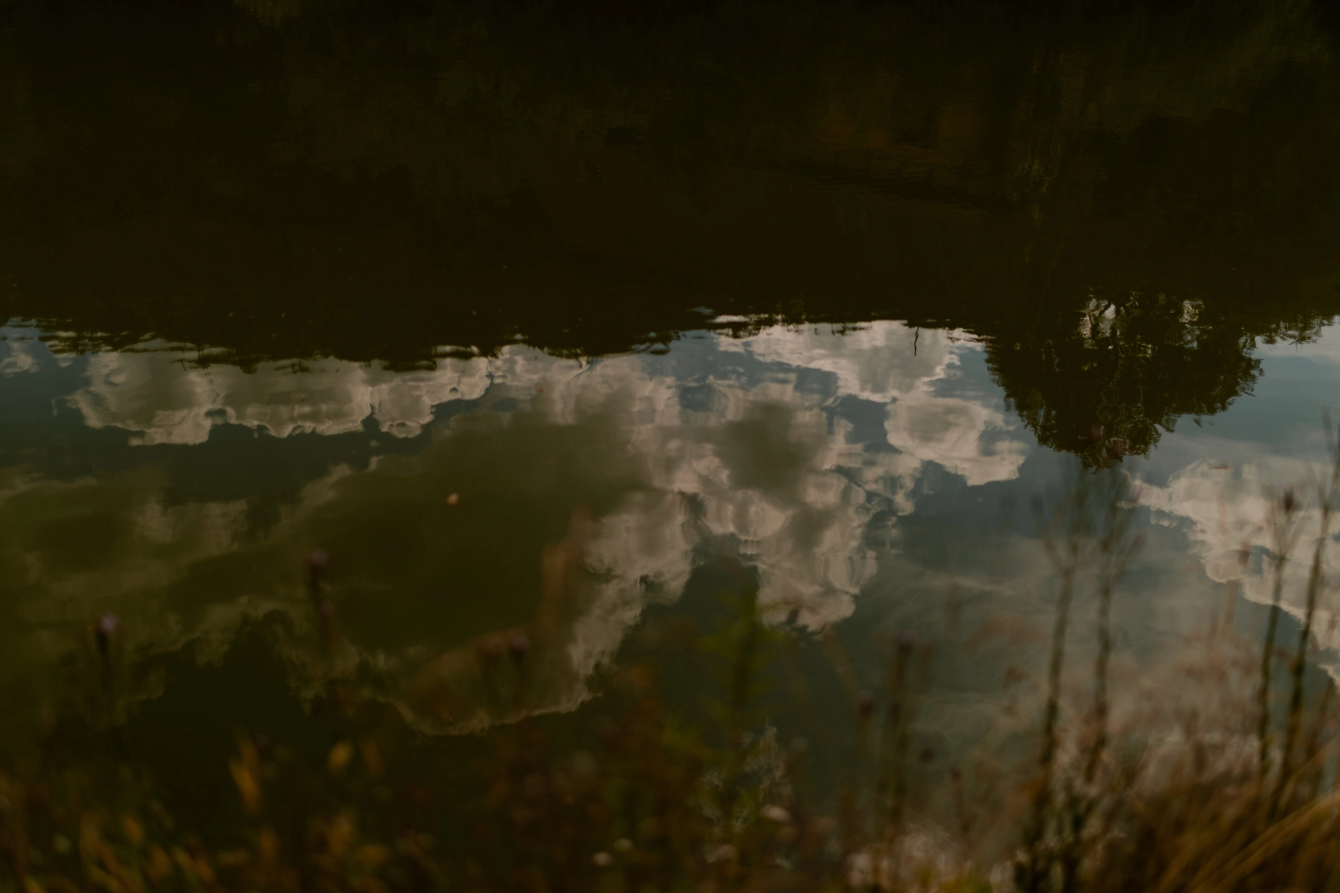 Emma and Julien – Wedding photos on the cobblestone streets of Strasbourg
